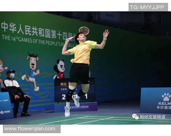 南京羽毛球队转型之路的挑战与机遇全景报道